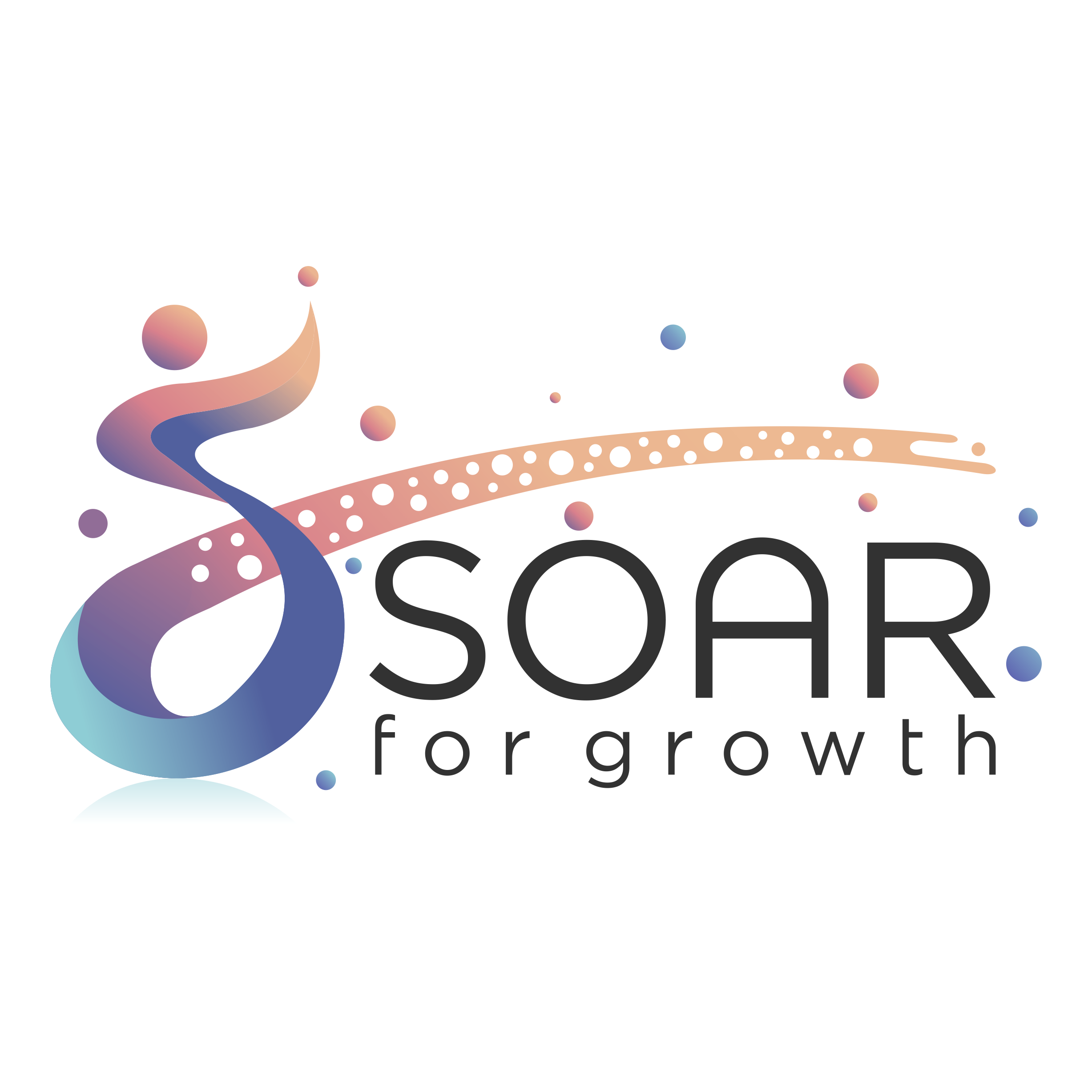 Our Sponsors - Strengthening Opportunities Actions Resources